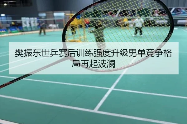 樊振东世乒赛后训练强度升级男单竞争格局再起波澜