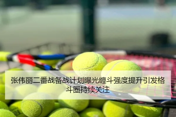 张伟丽二番战备战计划曝光缠斗强度提升引发格斗圈持续关注